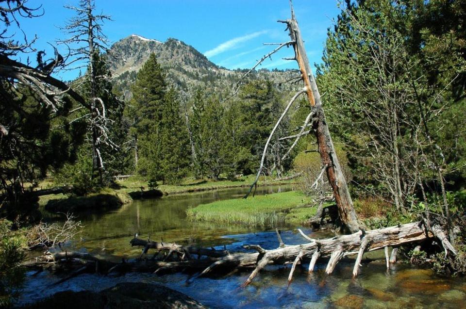 Pensio La Creu Otel Esterri d'Àneu Dış mekan fotoğraf